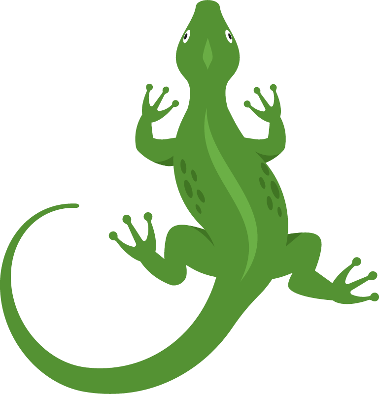 Lizard Top View Depicted Elegantly
