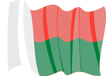 Madagascan National Flag in Elegant Display