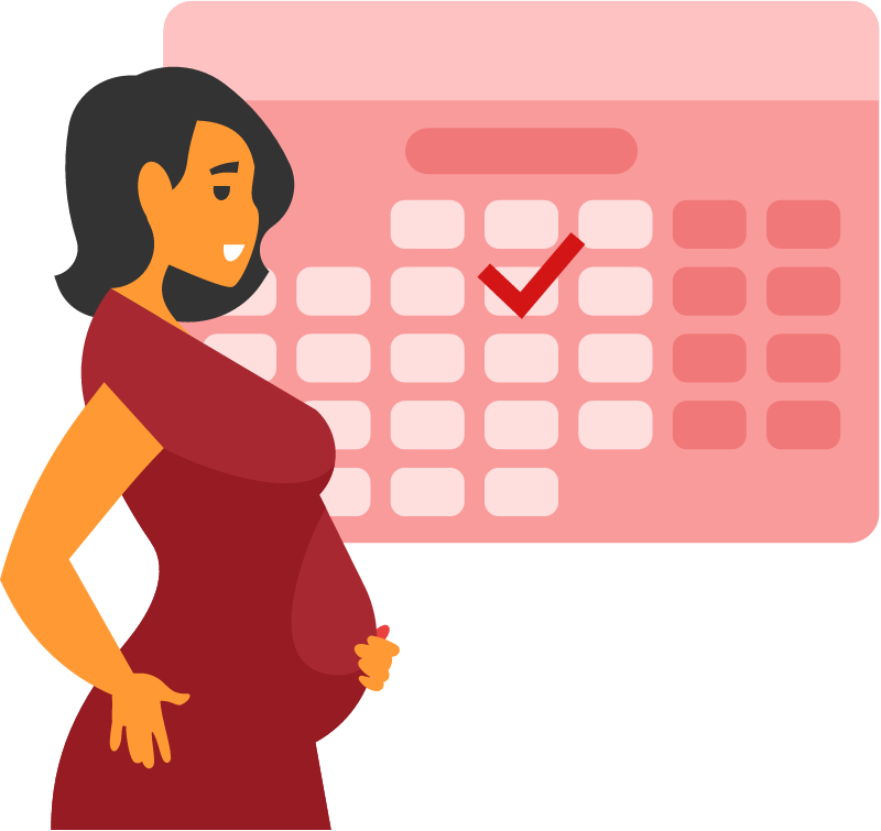 Pregnancy Planning Visualization