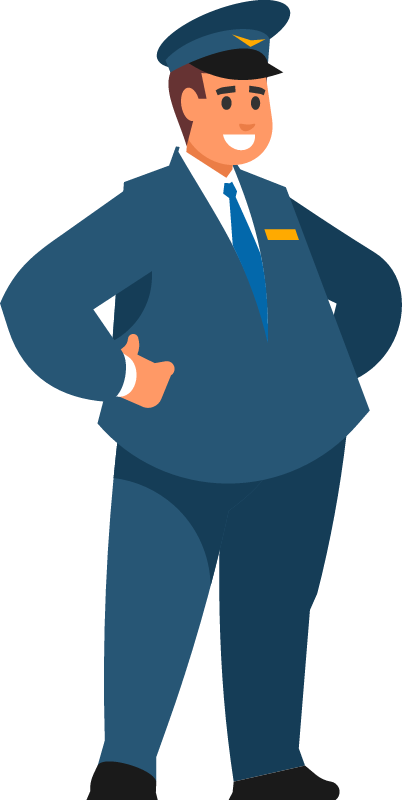 Professional Airline Pilot