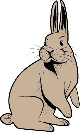 Rabbit Celebrating Easter with Egg