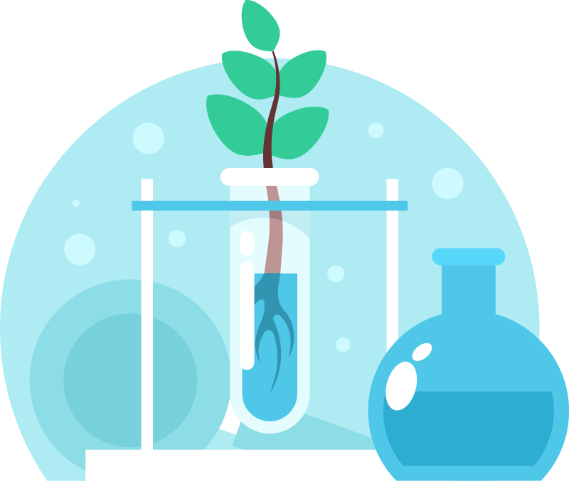 Scientific Testing on Plant Samples