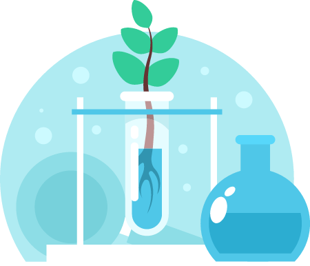 Scientific Testing on Plant Samples