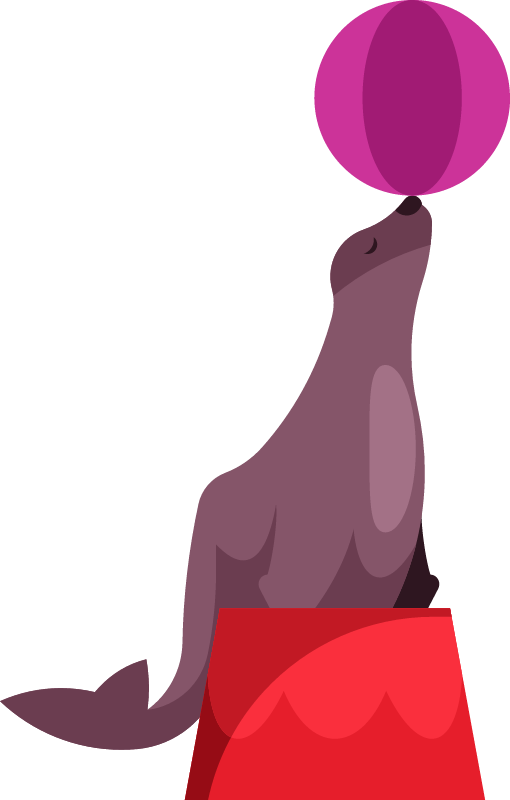 Seal Performing with Balancing Ball