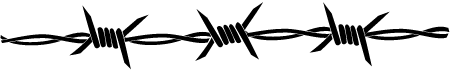 Sharp Wire Fence in Focus