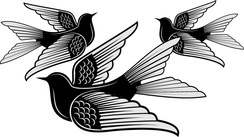 Silhouetted Swallows in Motion