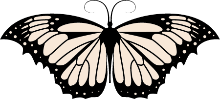 Simple Illustration of a Butterfly