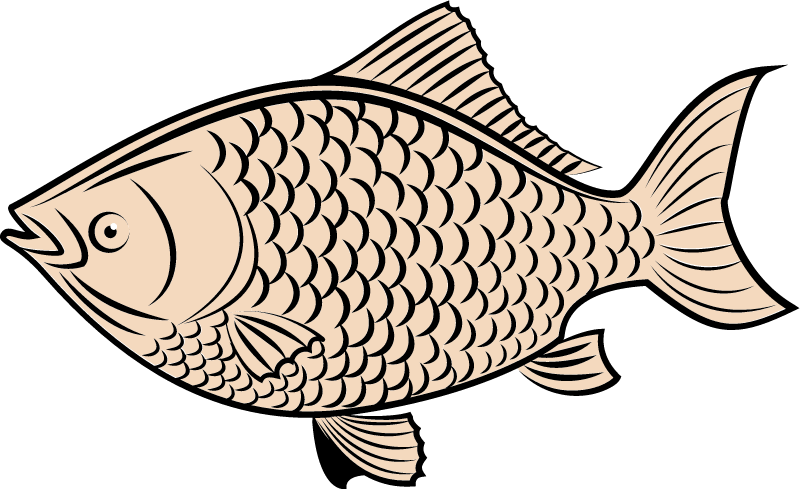 Simple Representation of a Fish