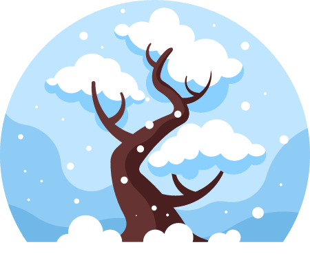 Snow-Laden Oak Tree in Winter