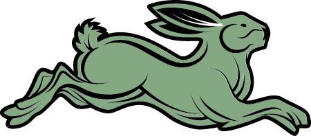Speedy Rabbit on the Move