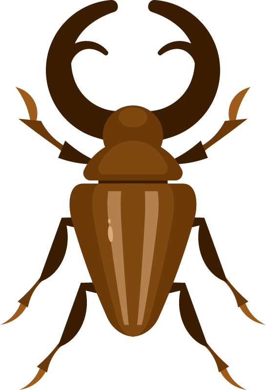 Stag Beetle with Prominent Mandibles
