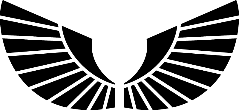 Stylized Monochrome Wings Logo