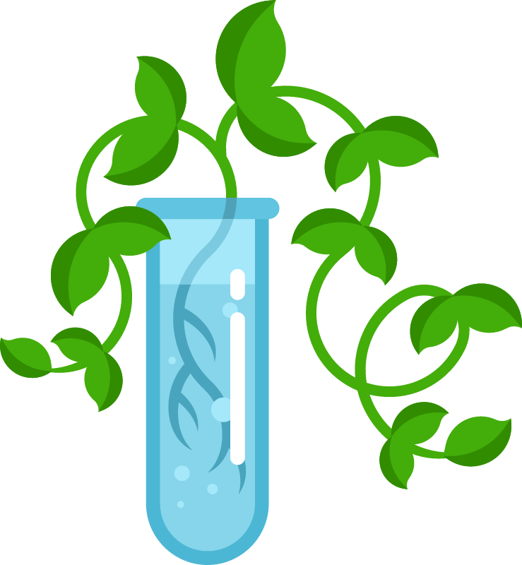 Test Tube Plant Experiment