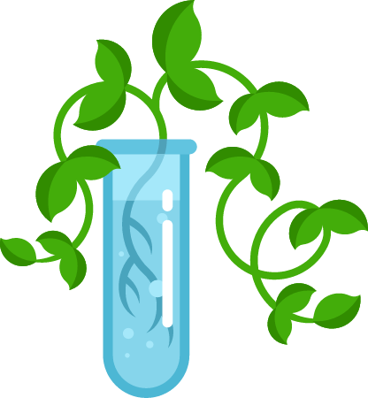 Test Tube Plant Experiment