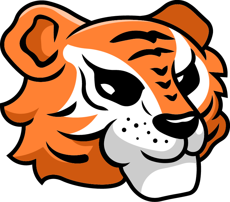 Tiger Head in Profile