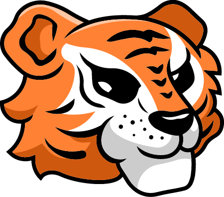 Tiger Head in Profile