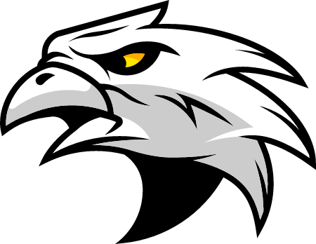 Tribal Falcon Head 