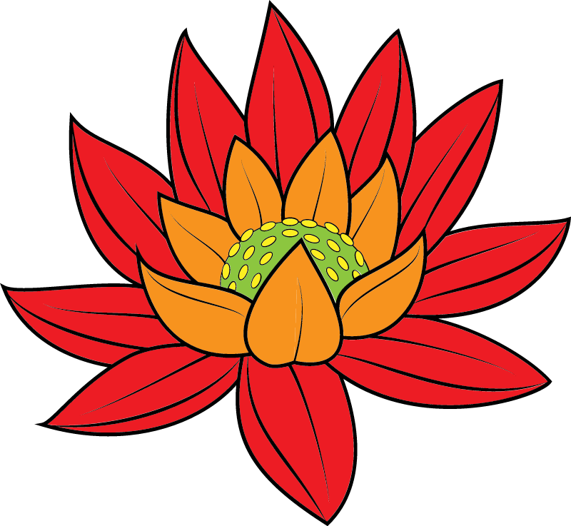 Vibrant Flower Blossom with Red Petals