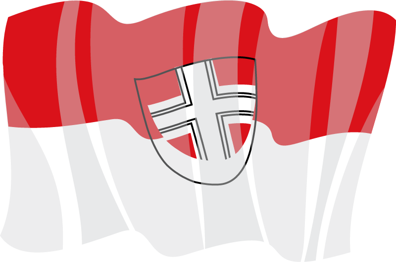 Vienna State Flag in Motion