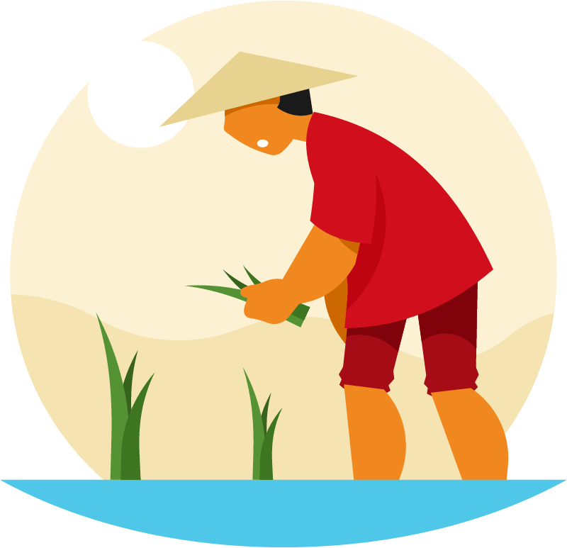 Vietnamese Farmer Harvesting Rice Crops