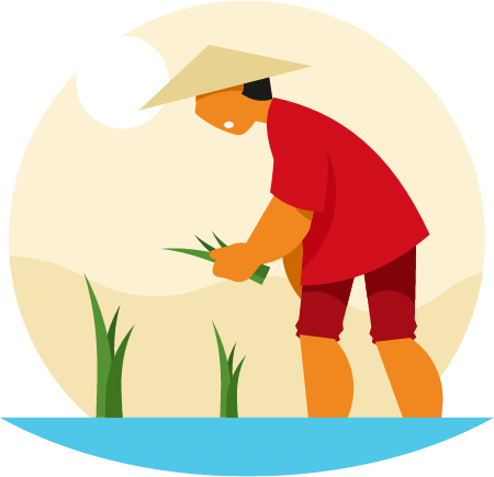 Vietnamese Farmer Harvesting Rice Crops