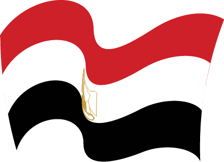 Waving Egyptian Flag Display