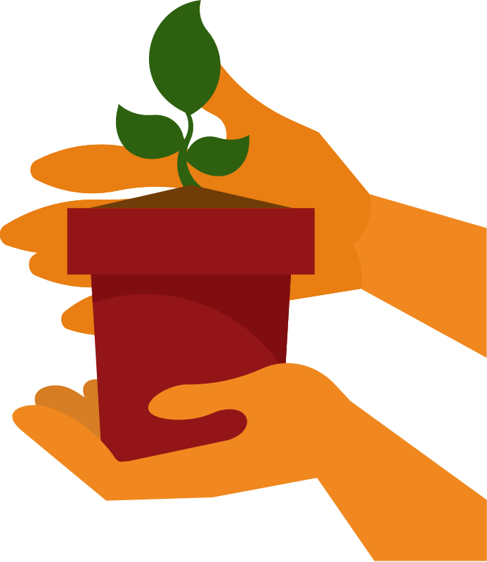 Hands Holding Potted Plant with Seedling