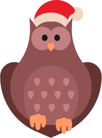 Christmas Owl Wearing Santa Hat