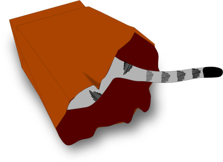 Cat Playing in Paper Bag