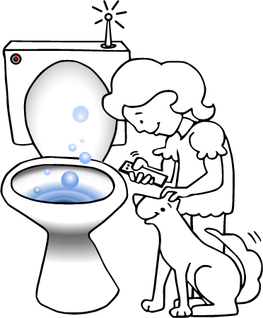 Smart Toilet of the Future