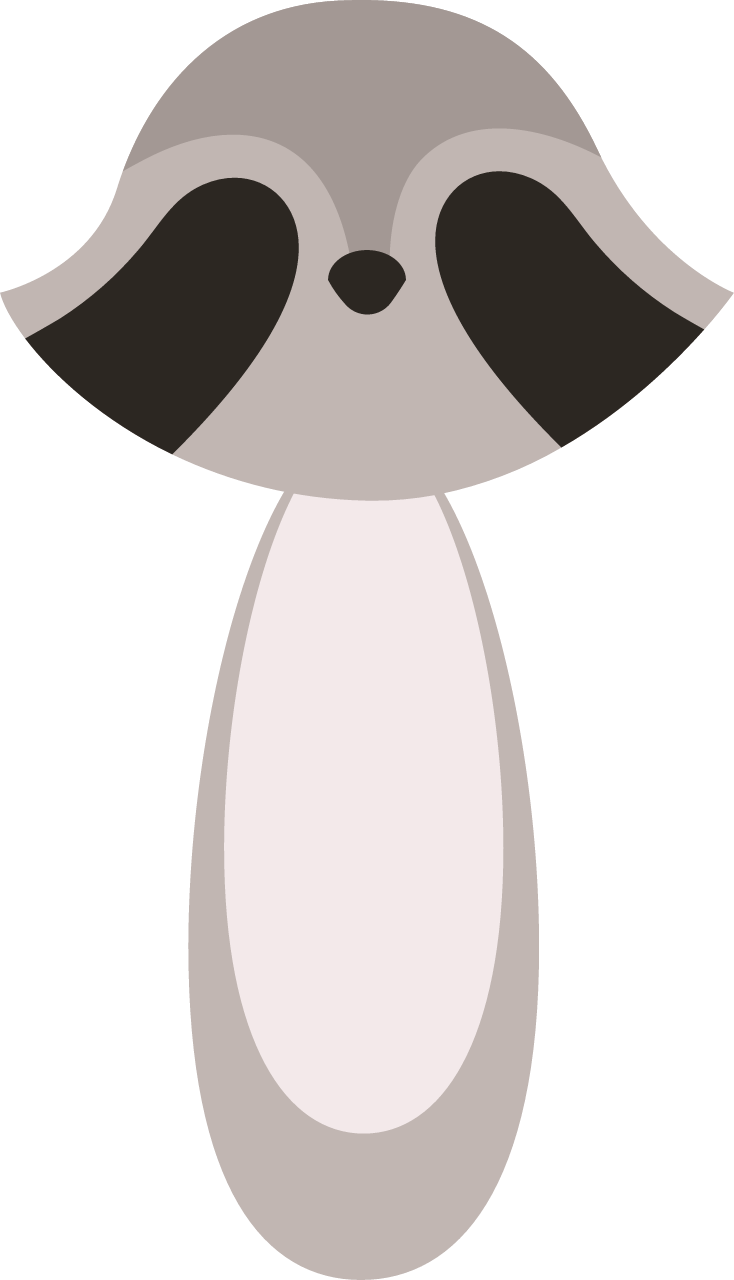 Racoon body