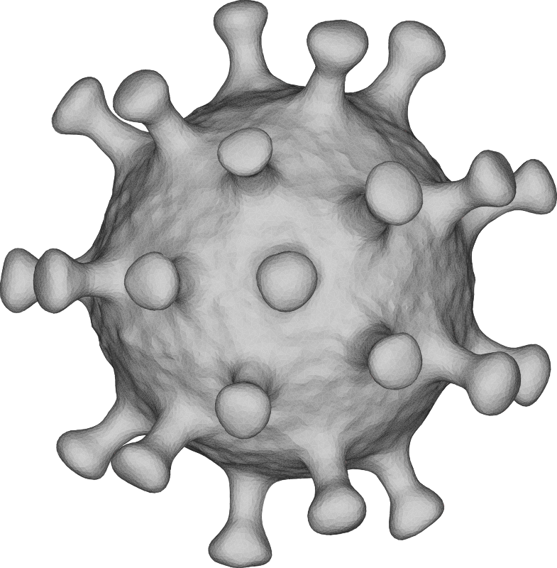 3D Coronavirus Model