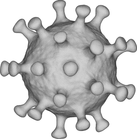 3D Coronavirus Model