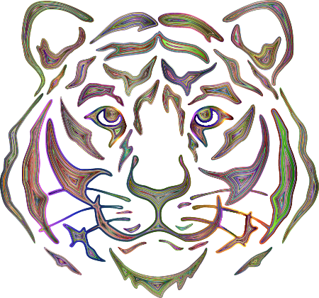 Chromatic Tiger Face by Rejon