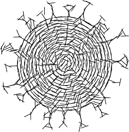 Covid-19 Vaccine Syringes