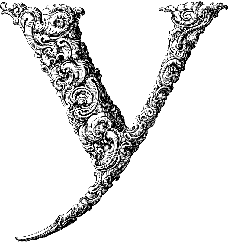 Elegant Flourish Y