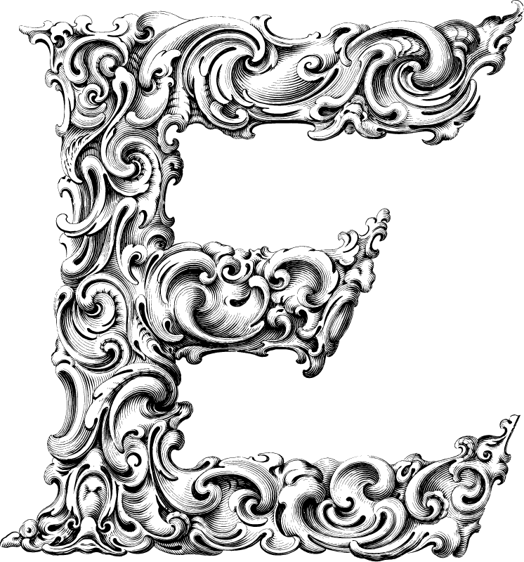Elegant Flourished Letter E