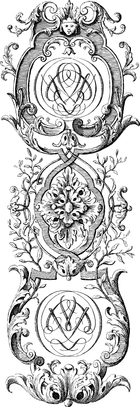 Elegant Vertical Divider