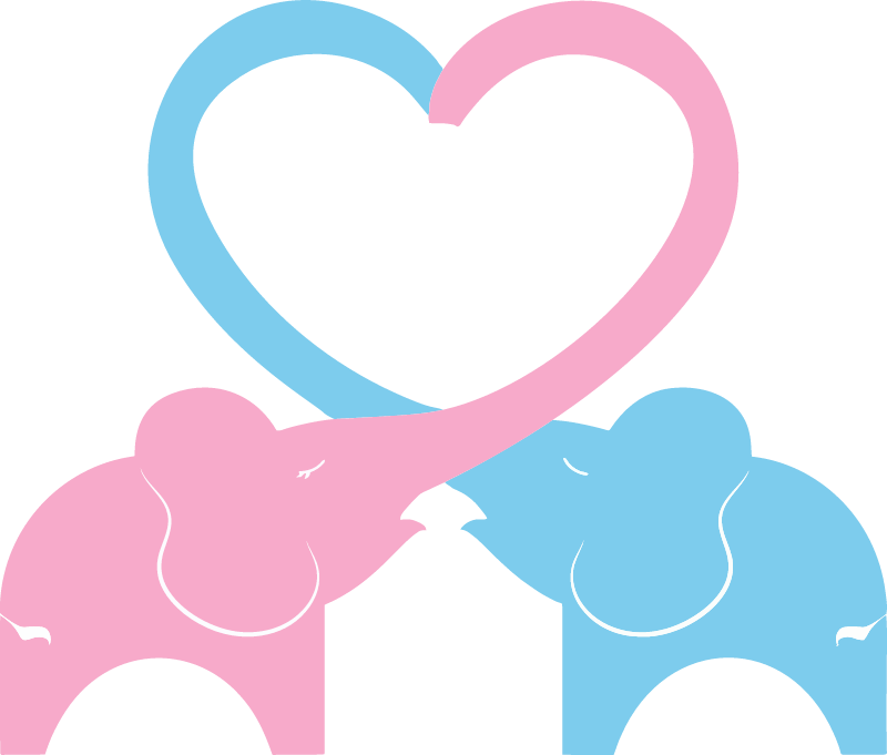 Elephant Couple Love Vector