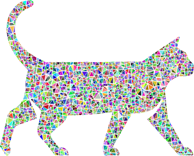 Low Poly Colorful Cat 