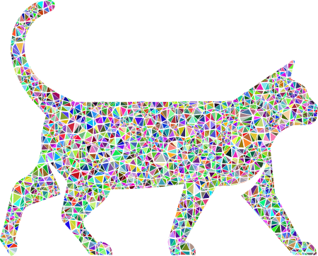 Low Poly Colorful Cat 