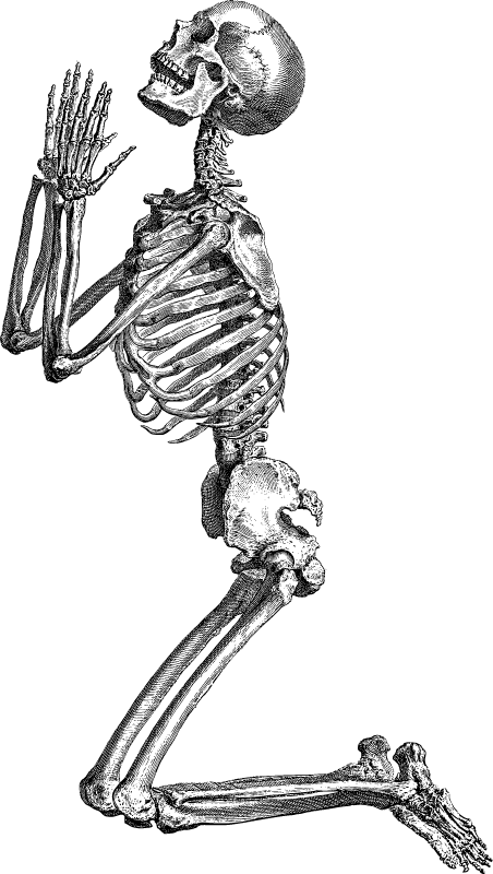 Praying Skeleton Illustration
