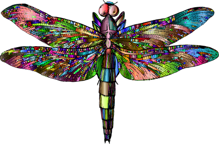 Prismatic Dragonfly Illustration