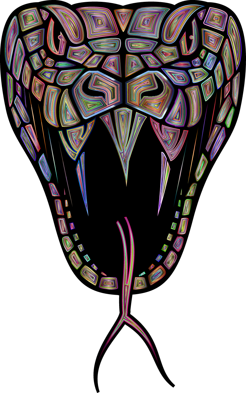 Psychedelic Viper Head