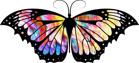 Striped Psychedelic Butterfly