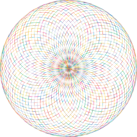 The Array 