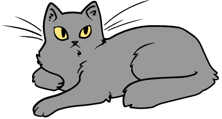 Annoyed Cute Cat