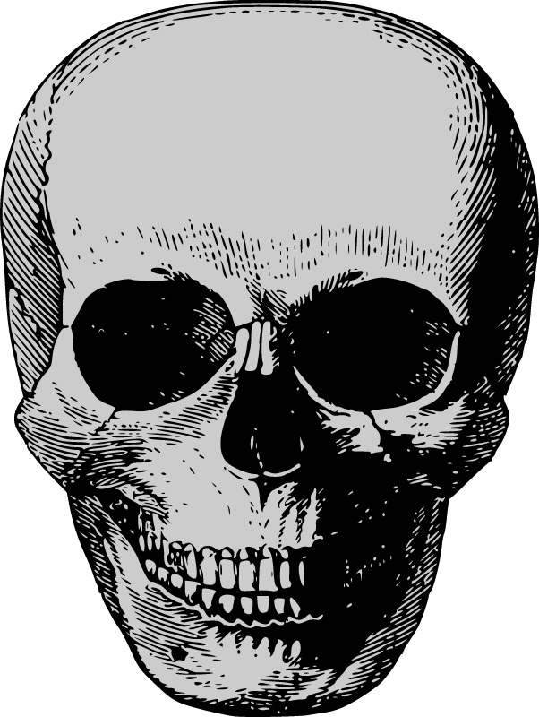 Antique Skull Engraving