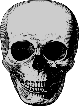 Antique Skull Engraving