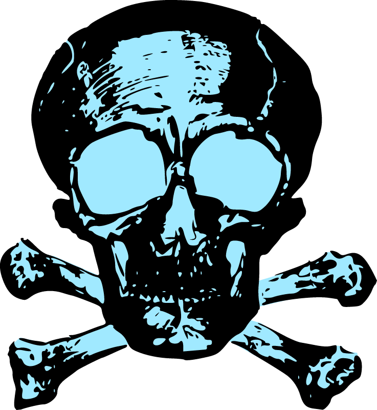 Classic Skull & Crossbones
